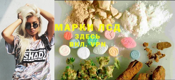 стаф Баксан