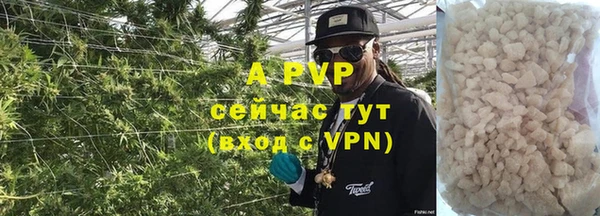 стаф Баксан