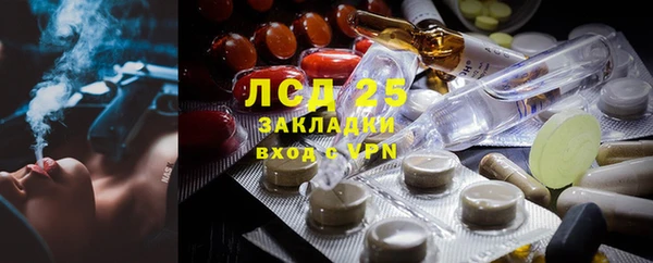 стаф Баксан