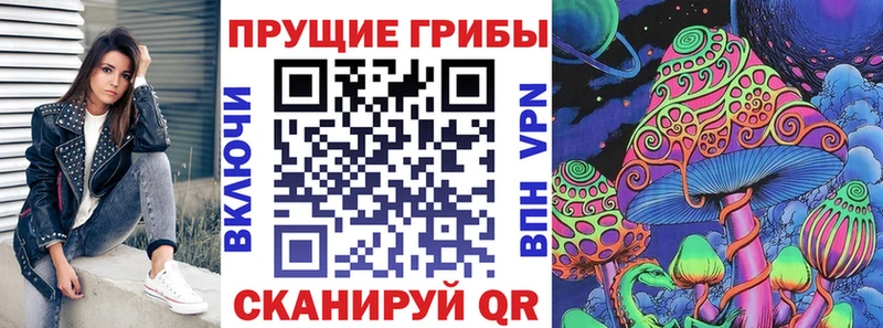 закладки  Кущёвская  Галлюциногенные грибы Psilocybine cubensis 